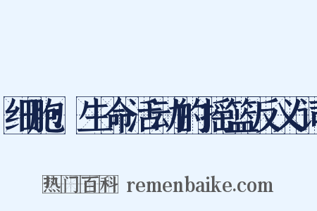 细胞：生命活动的摇篮反义词是什么意思的图片